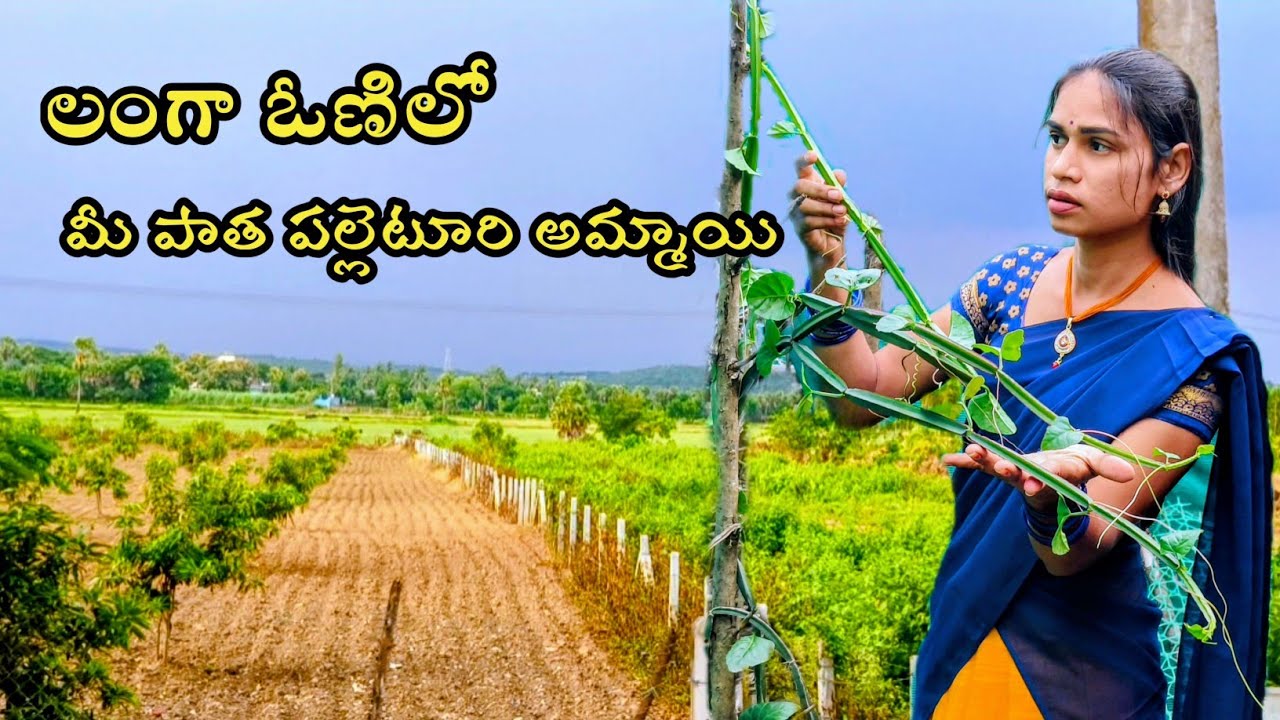 నన్ను ఈ విధంగా పాత వీడియోస్ లో లాగ చూడాలి అని చాల మంది చాల నెలల నుండి కామెంట్ చేస్తూనే ఉన్నారు.