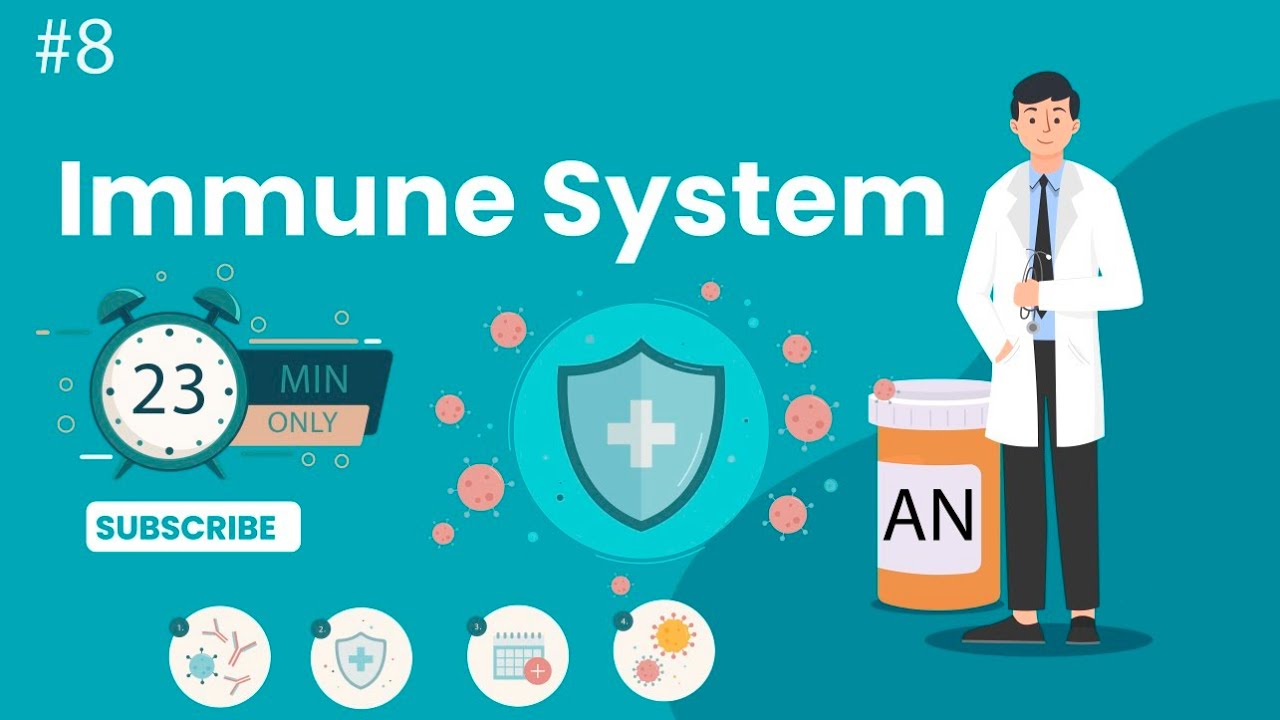 Immune System|باثولوجي بالعربي شرح