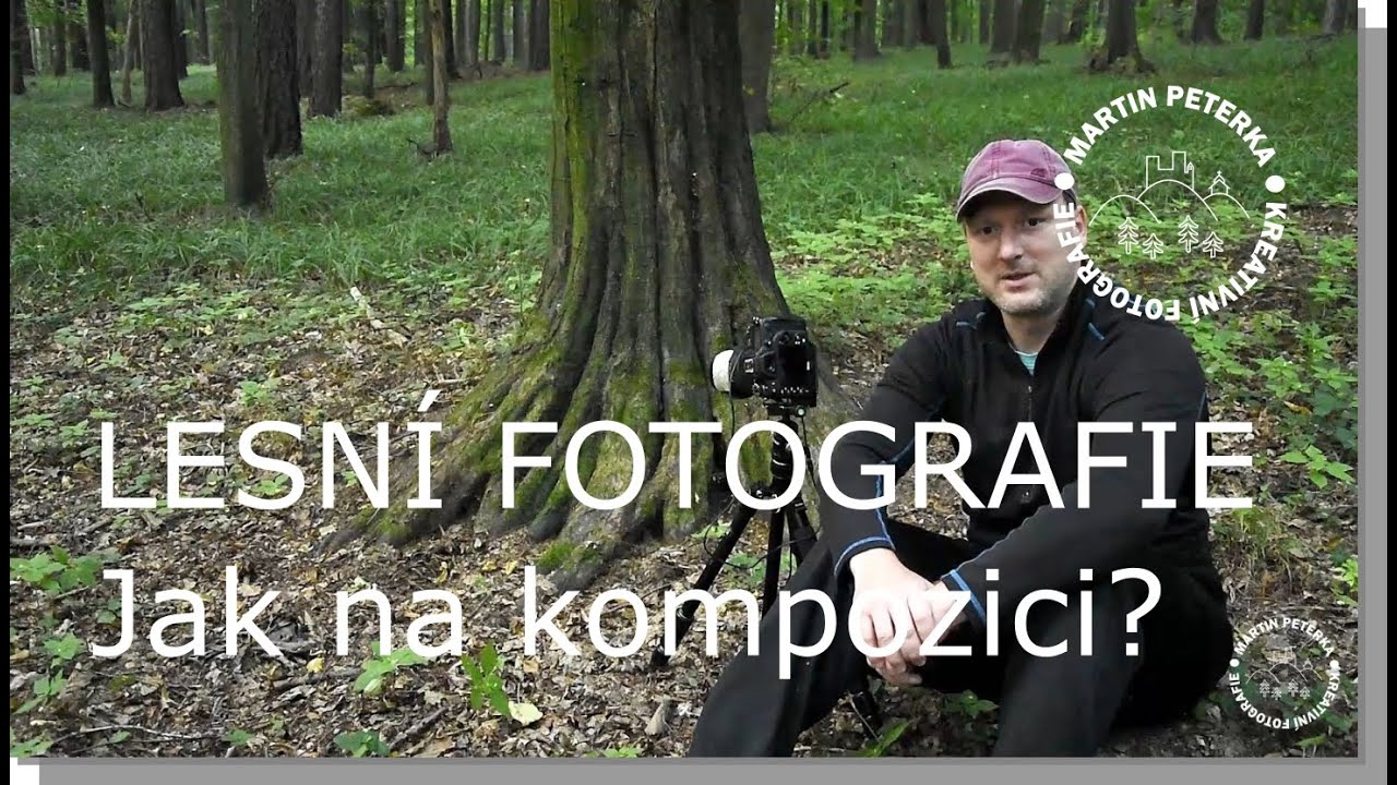 Jak na kompozici v lesní fotografii?