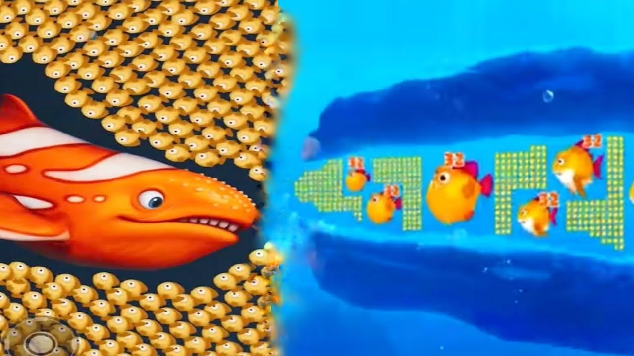 Fishdom Ads | Hungry Fish New Update [8.35] Fishdom Ads#fishdom