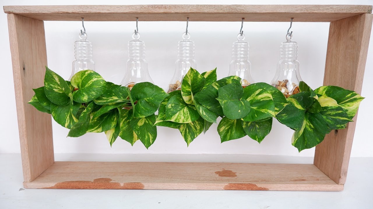 Money Plant / Pothos in Plastic Clear Glass Bulb and Wooden Frame for Desk/Table Decoration