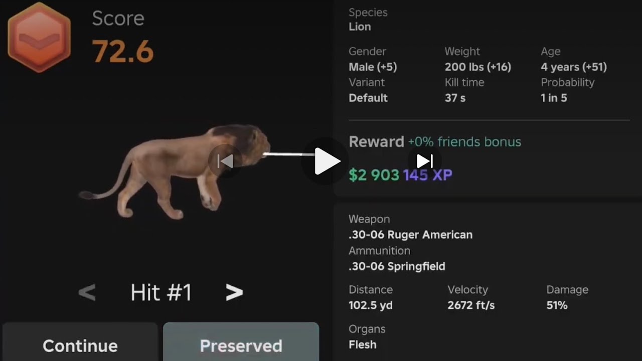 Hunting a lion 