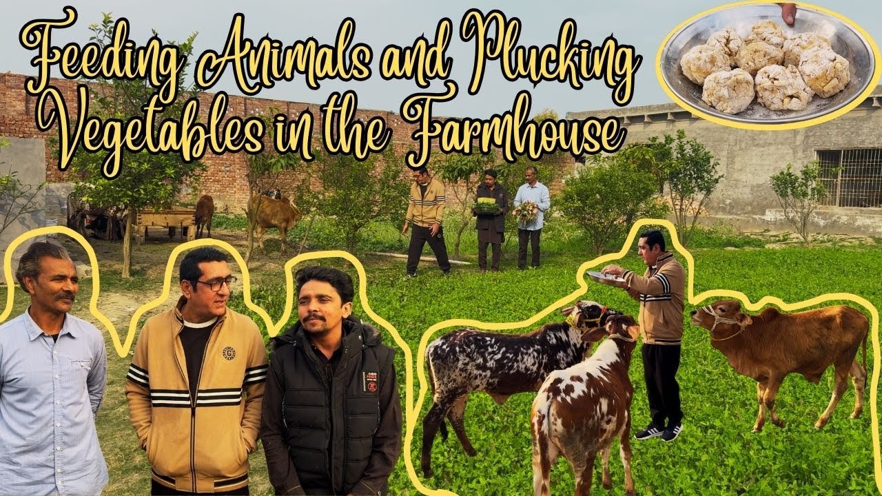 Chintu Mintu Aur Pinki Ne Khub Mastiyan Ki |