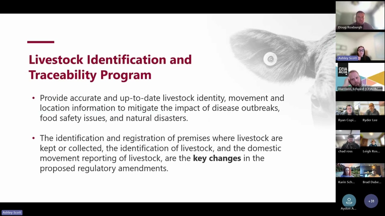 Canadian Cattle Identification Agency (CCIA) Industry Update