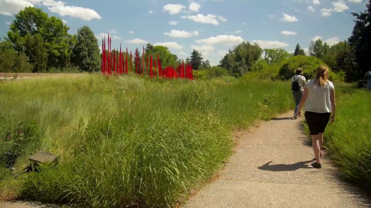 Plant Select Ornamental Grasses with Dan Johnson