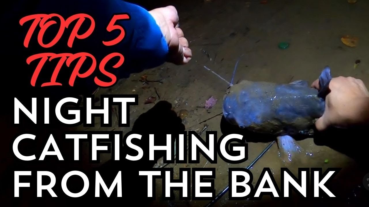 BEST 5 NIGHT CATFISHING TIPS FROM THE BANK