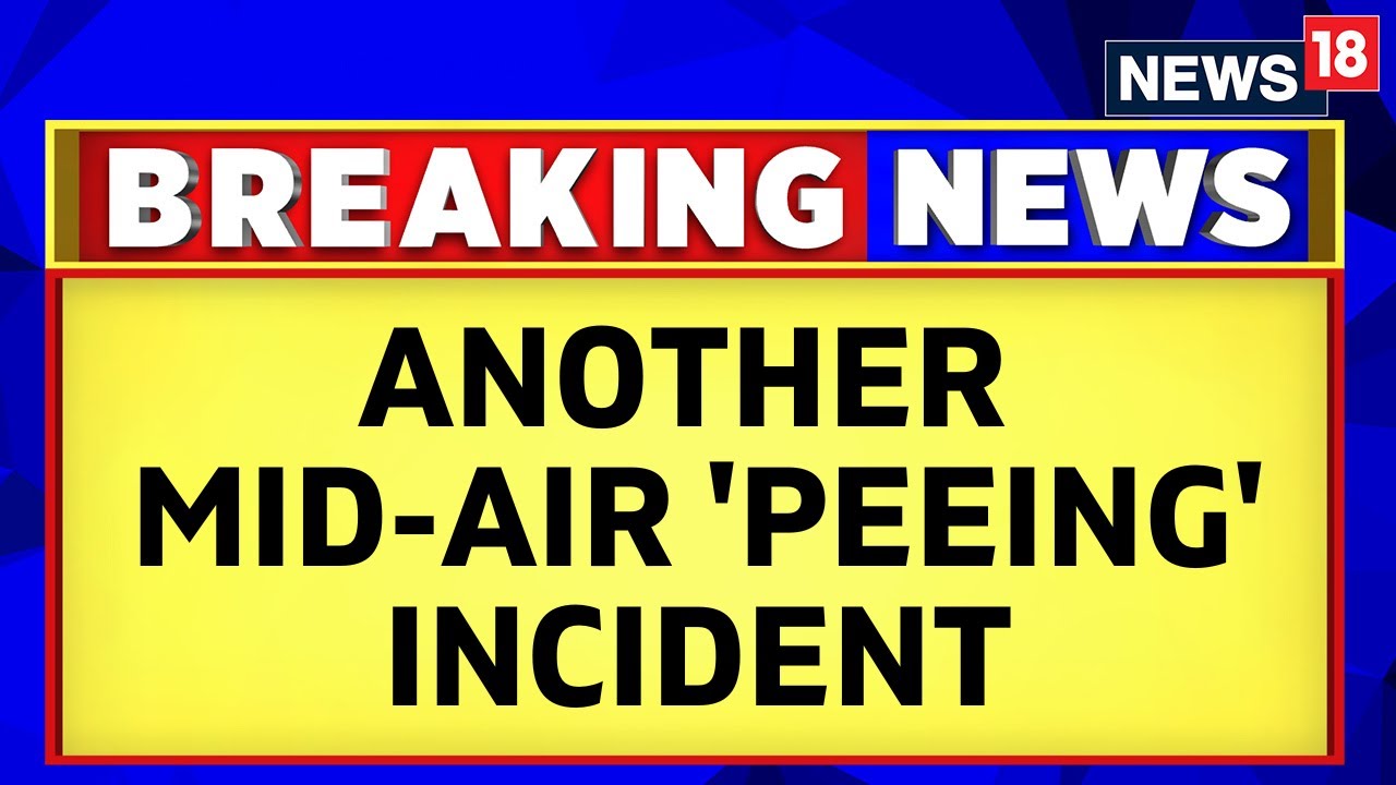 American Airlines Peegate Row | Another Mid Air Peeing Incident! | Latest News | English News