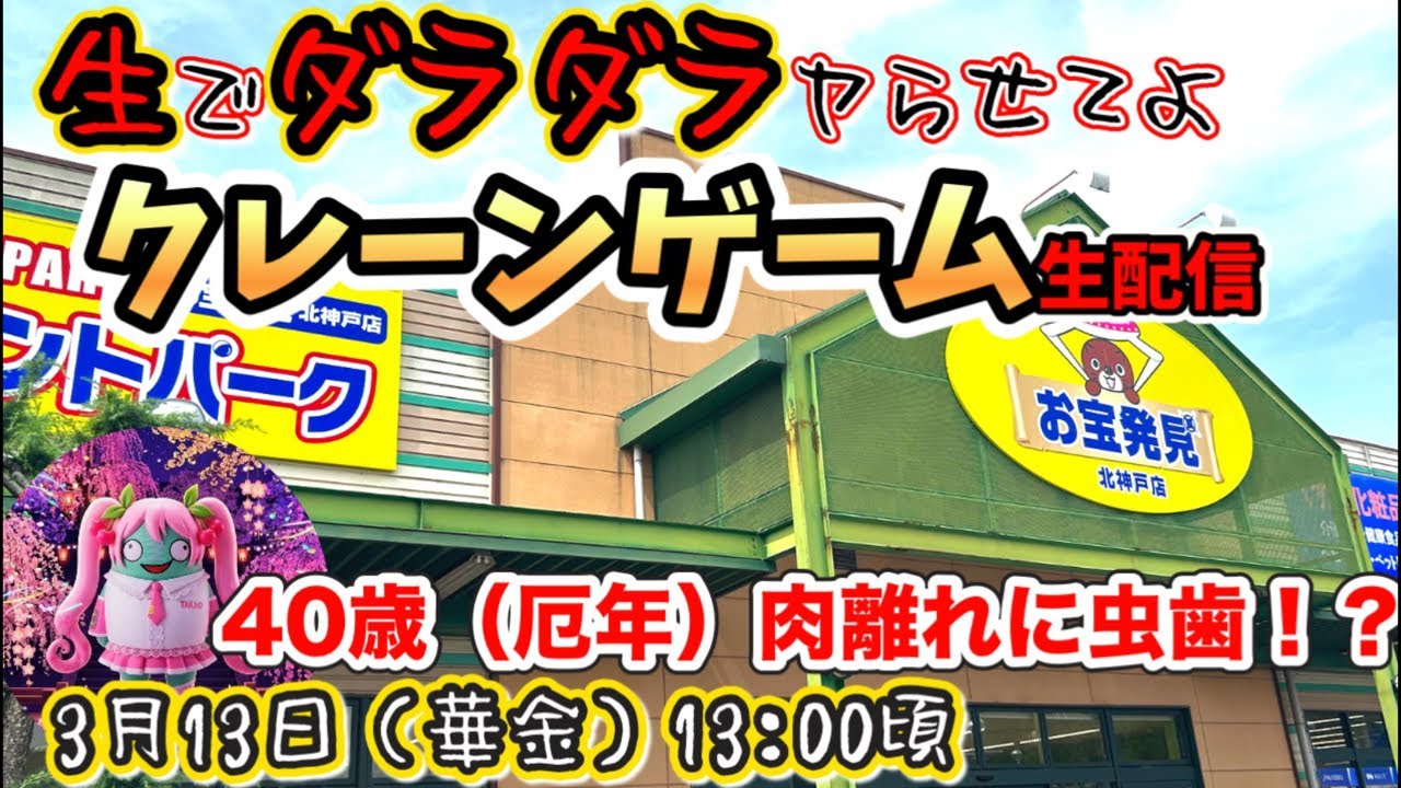 【生ダLIVE】生でダラダラヤらせてよ！クレーンゲームLIVE‼️お宝発見北神戸店さんで新景品に挑戦✨