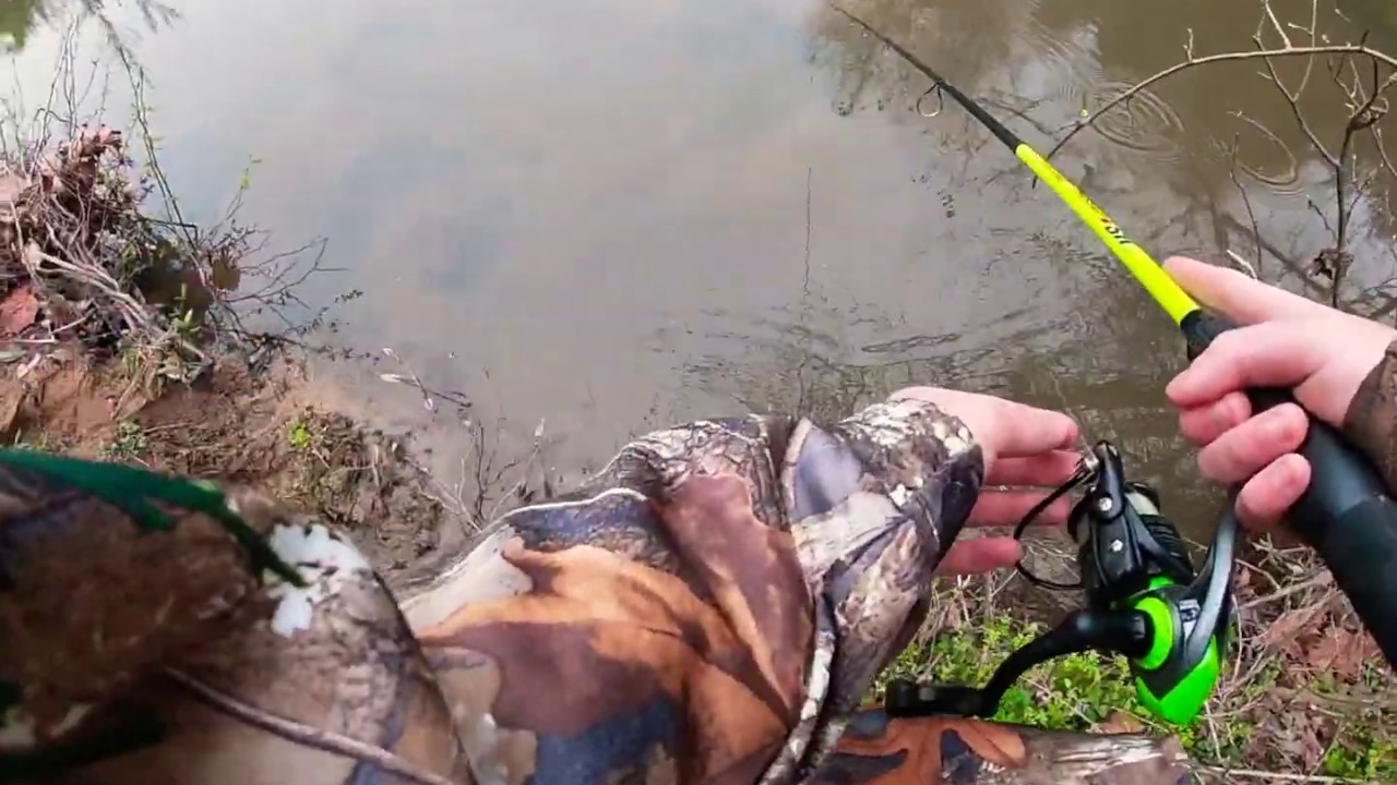 1 of 3 videos from rock hollow trout stream