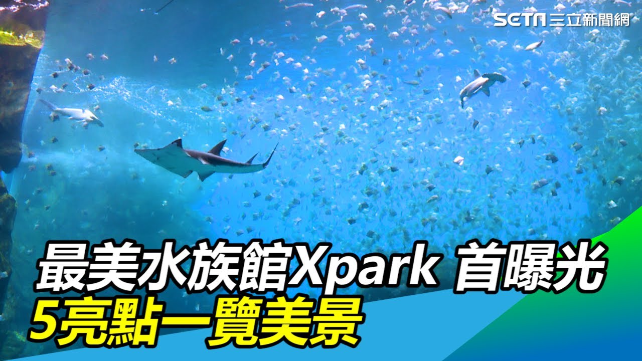 最美水族館Xpark 內部首曝光　5亮點一覽美景｜三立新聞網SETN.com