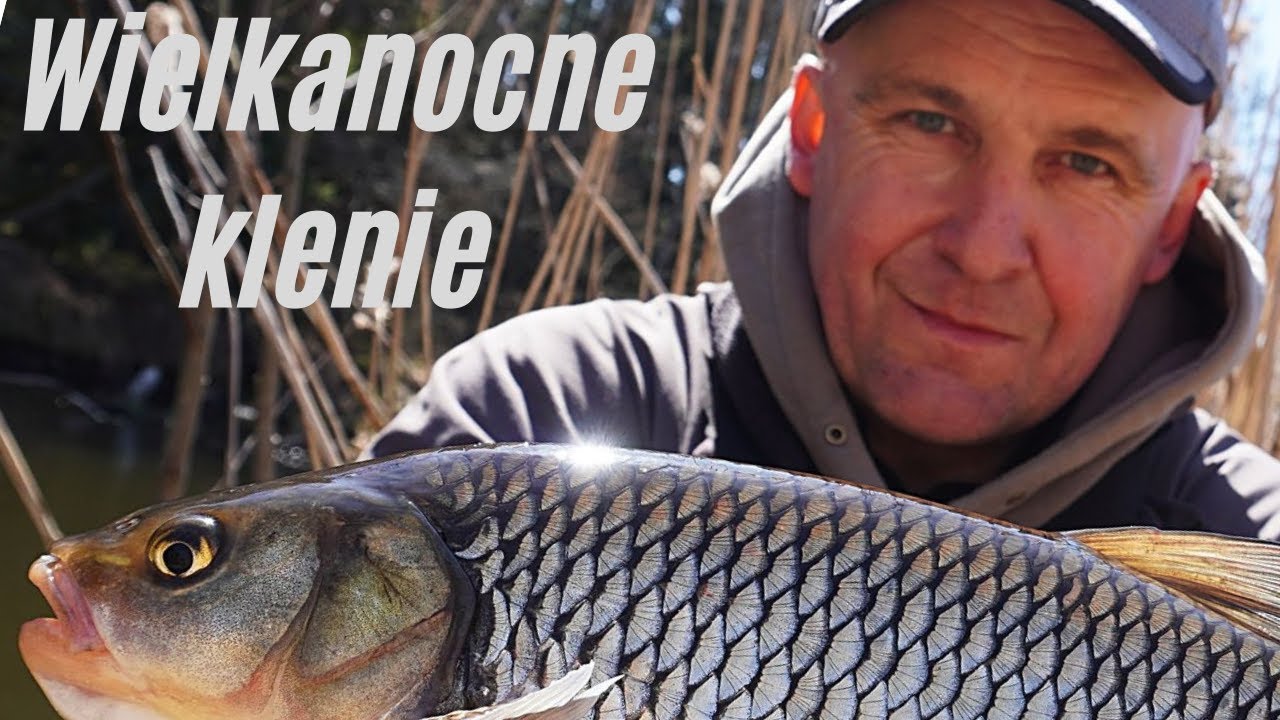 Wielkanocne klenie