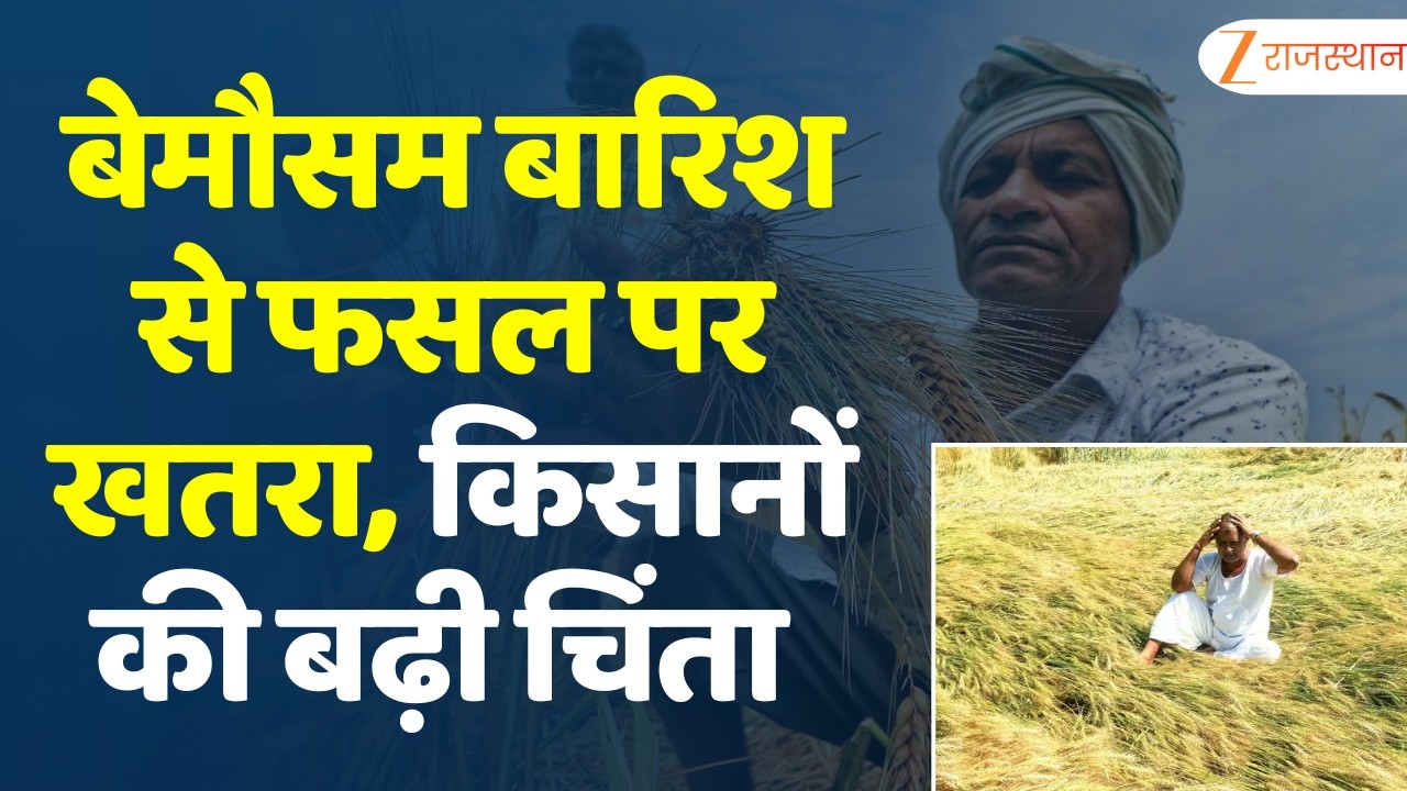 Jodhpur News : अचानक बारिश का असर! फसलों पर संकट, किसानों की बढ़ी टेंशन…पश्चिमी विक्षोभ सक्रिय