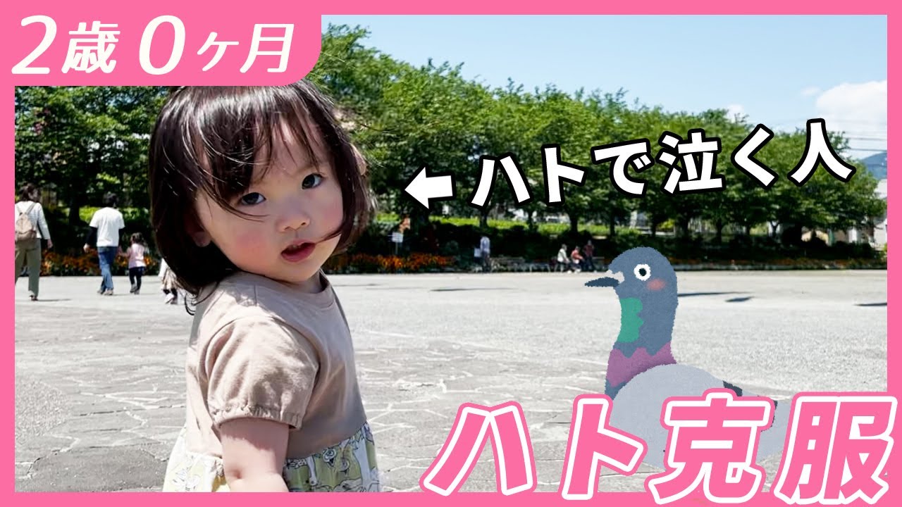 天敵のハトをあっさり克服した日