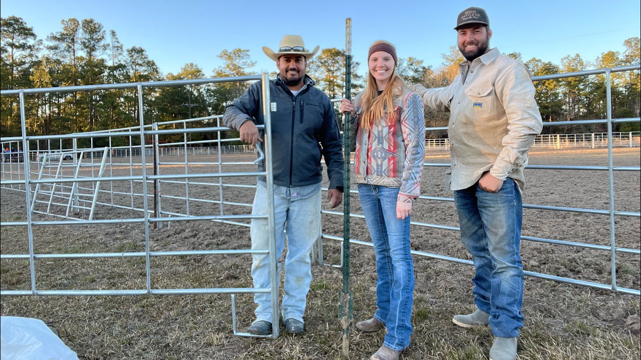 The new roping arena, part 1| Dirt work and setting up the panels!