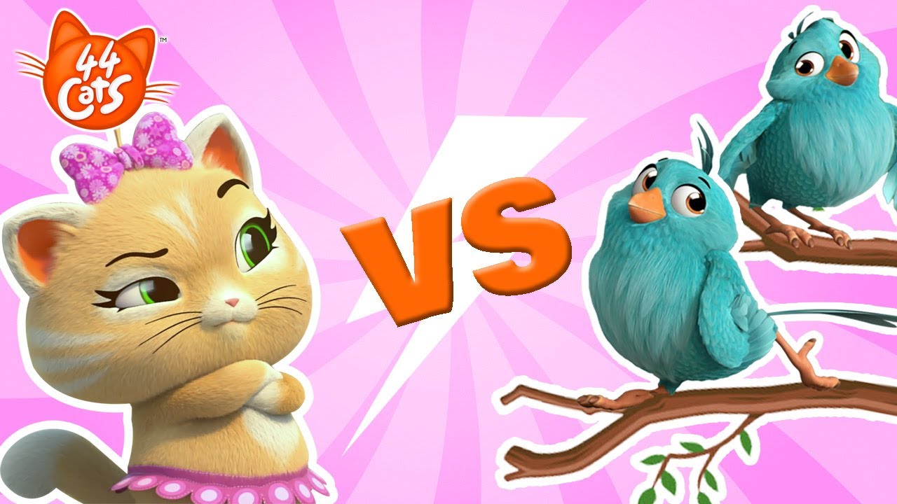 44 Cats | Cats VS Little Birds 😼🐦 Best friends or big mischiefs?