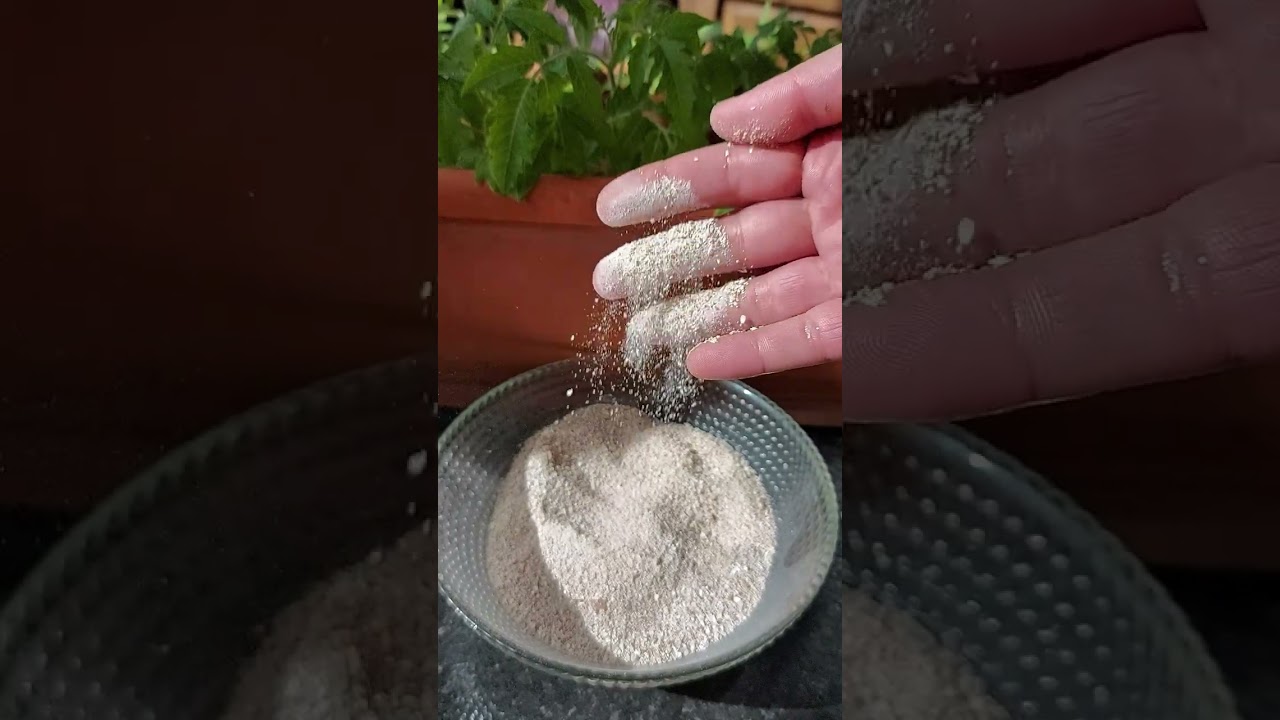 Яичная скорлупа для рассады