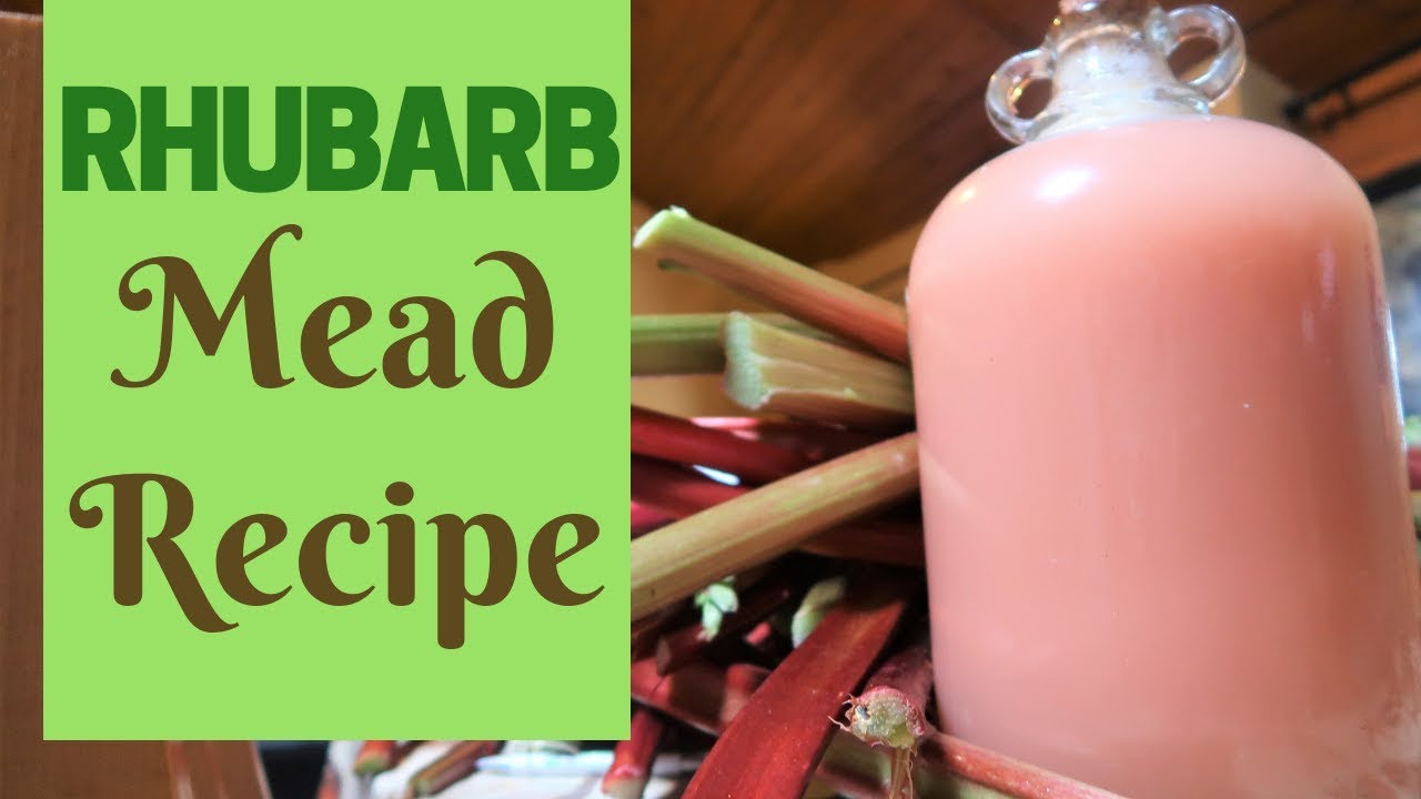 Rhubarb Mead Recipe - Stunningly Simple!