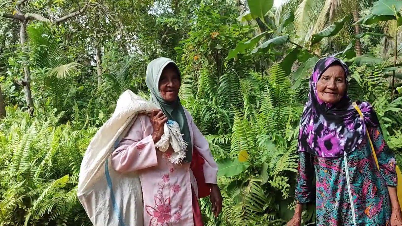 Kampung Terpencil di Pulau Dompak❗Kepulauan Riau