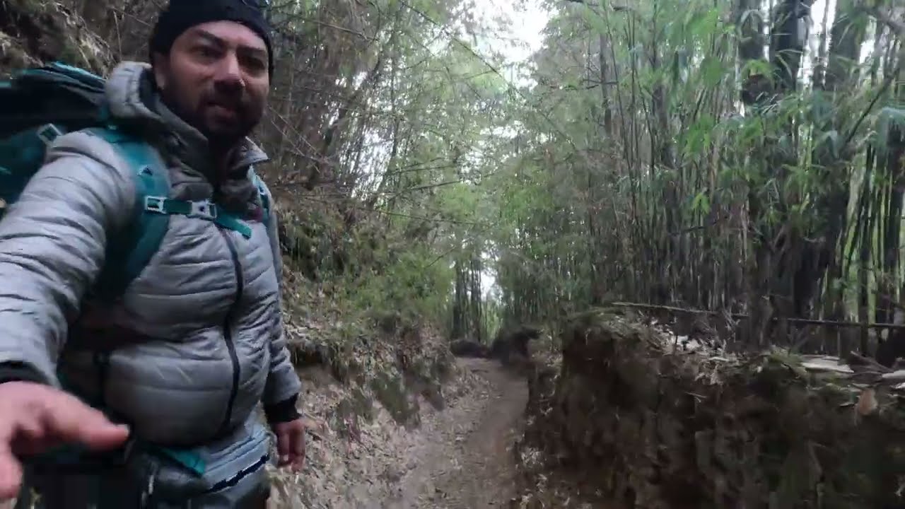 Deep inside a Bamboo Forest from Phalut to Gorkhey| Sandakphu Trek| March 2025 | Day 5 |