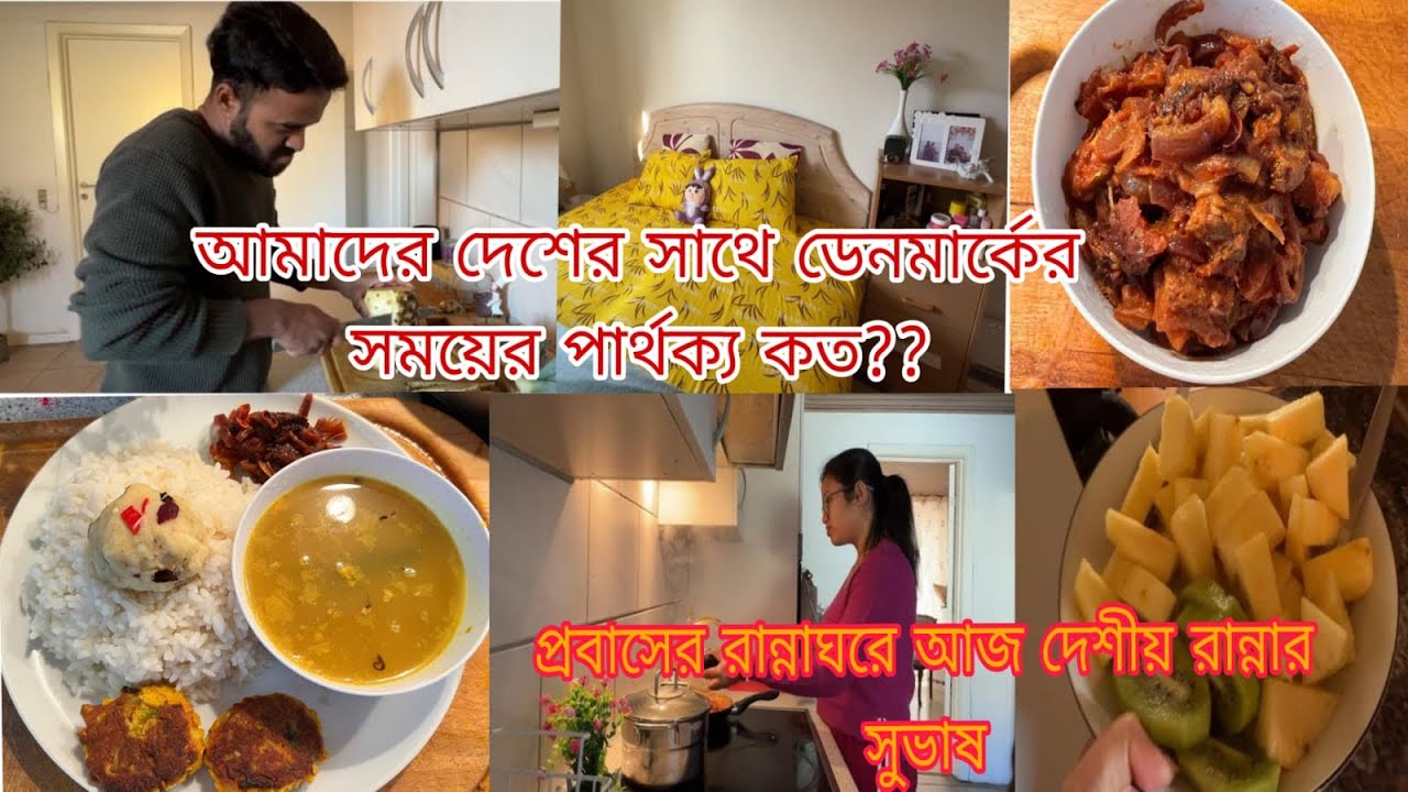 আমাদের দেশের সাথে ডেনমার্কের সময়ের পার্থক্য কত??প্রবাসের রান্না ঘরে আজ সব দেশীয় রান্নার সুভাষ!!