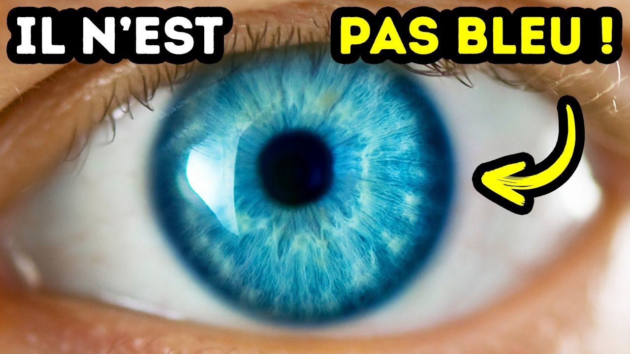 Les Yeux Bleus ne Sont qu&rsquo;Une Illusion d&rsquo;Optique