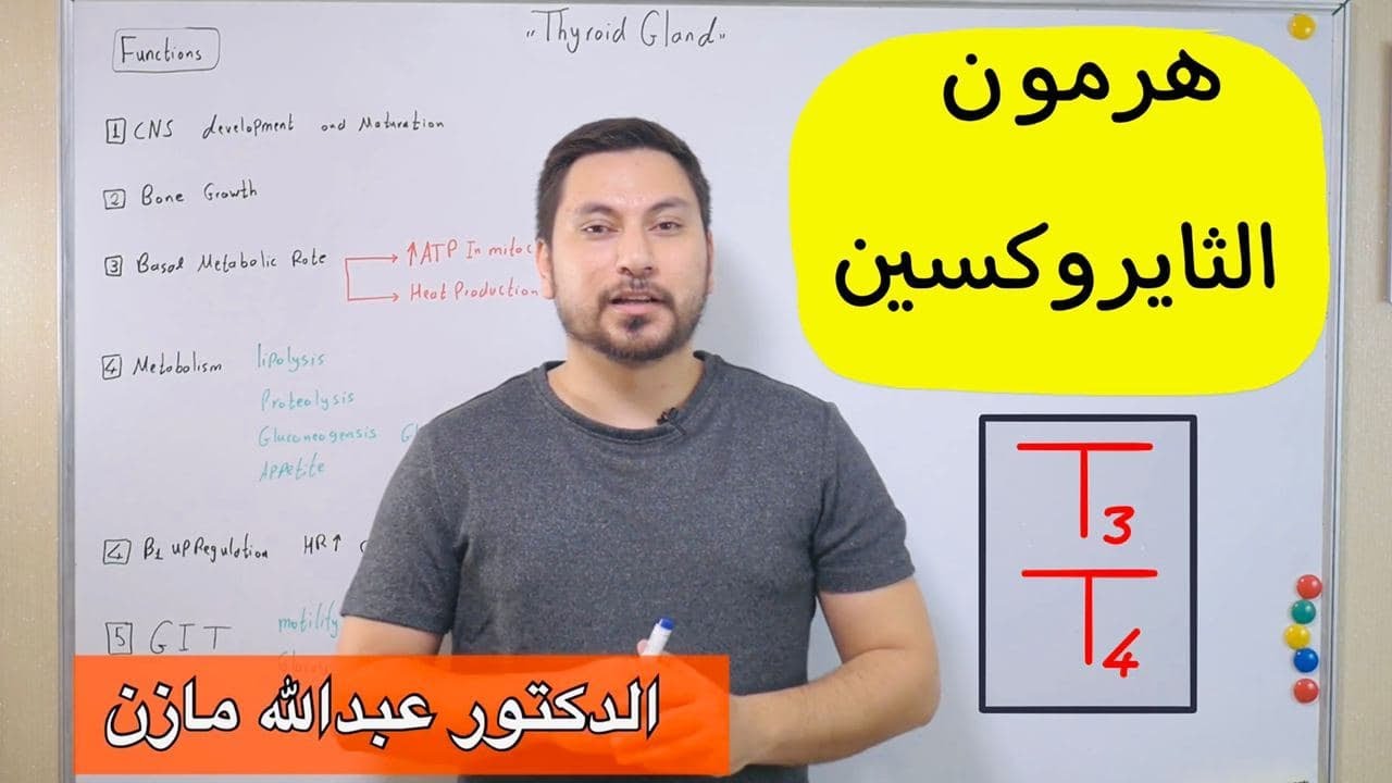 ما هي الوظائف الخمسة لهرمون الثايروكسين ؟ Thyroxine Functions