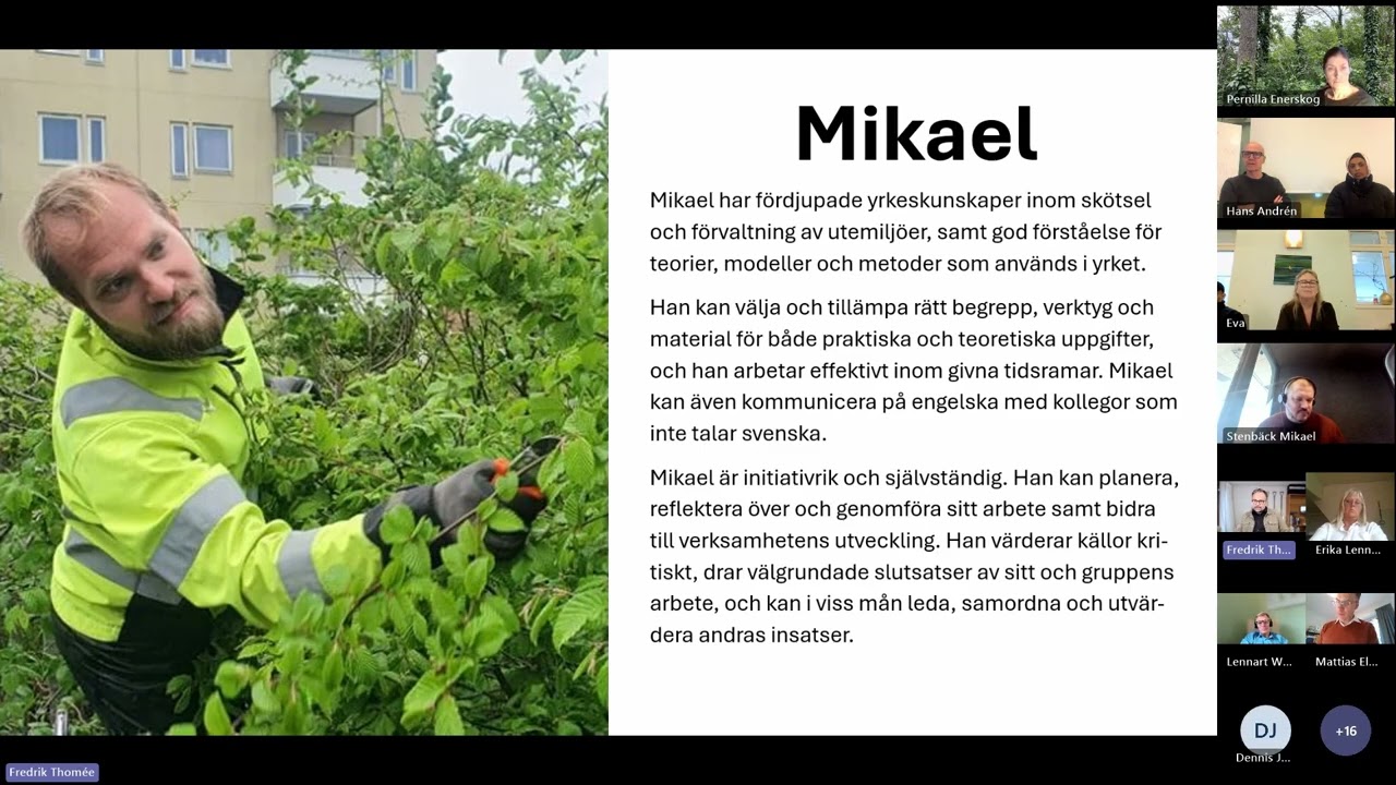 Berättelse om att beskriva olika nivåer på kompetens  SeQF