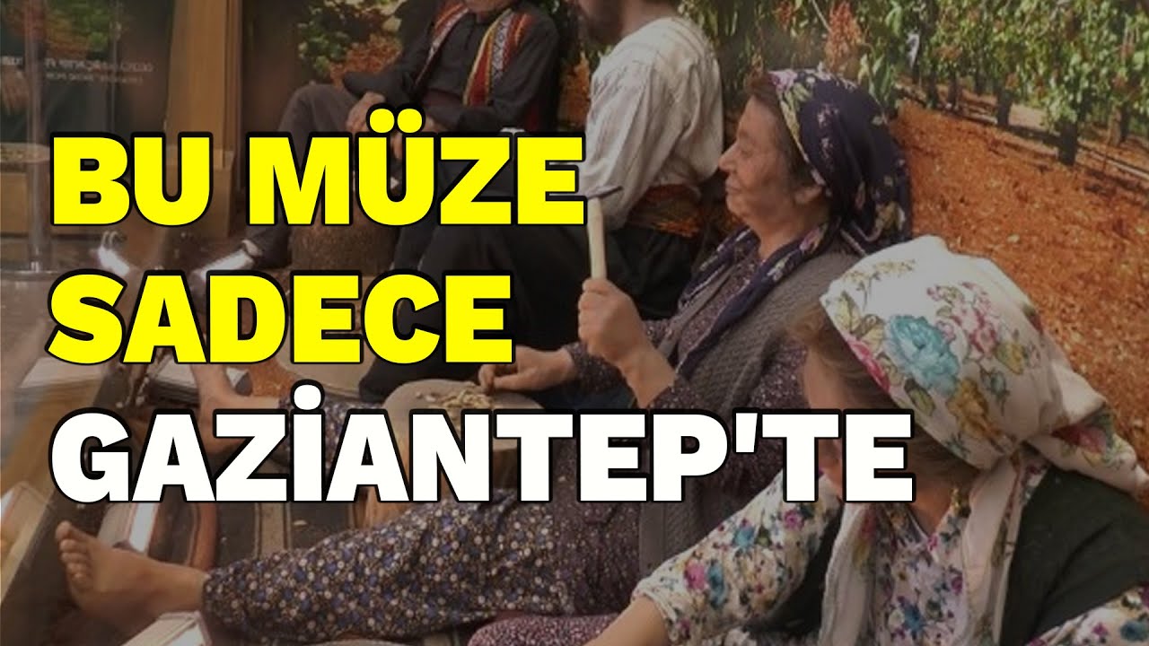 Dünyanın ilk ve tek fıstık müzesi Gaziantep'te