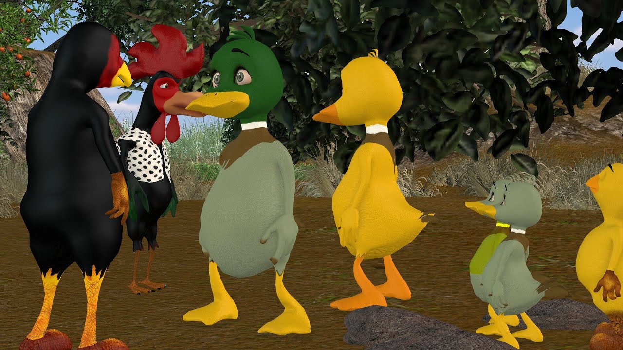 Me nyuam qaib poob zoo. hmoob kab toos 3D.