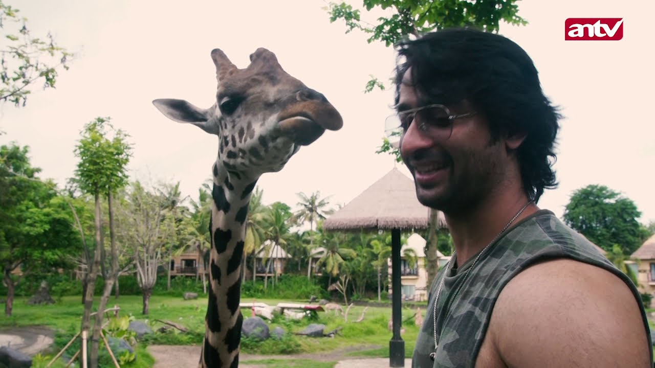 Satu Hari Bersama Shaheer Sheikh - Hari Kedua Part 3 ( One Day With Shaheer Sheikh )