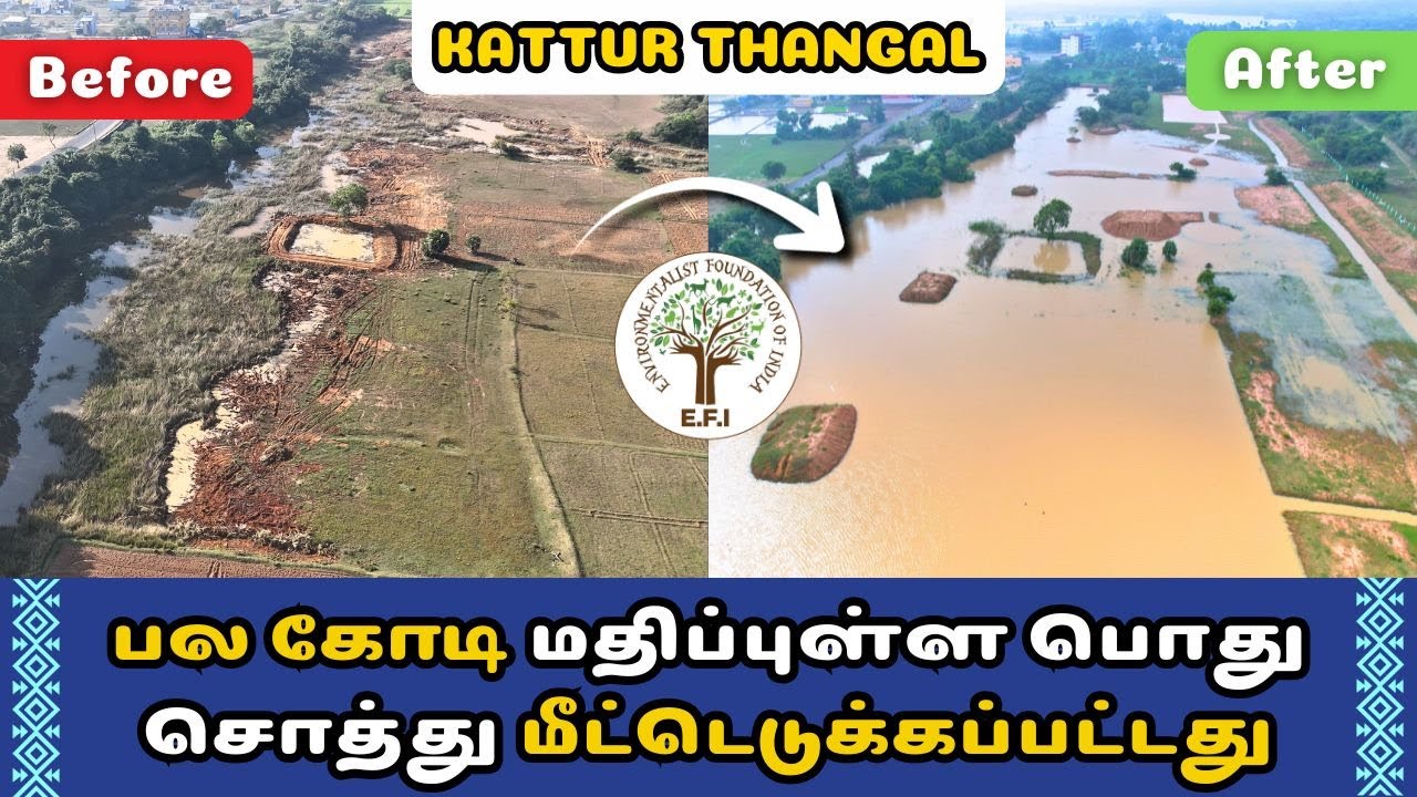 Kattur Thangal Lake Restoration Story | E.F.I's Lake Night Show | #BlueGreenChengalpattu