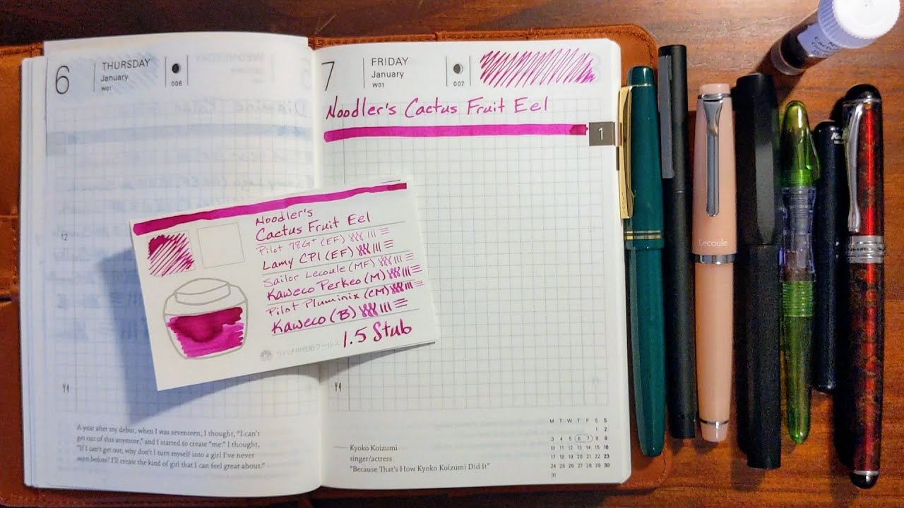 Noodler's Cactus Fruit Eel and Fountain Pens
