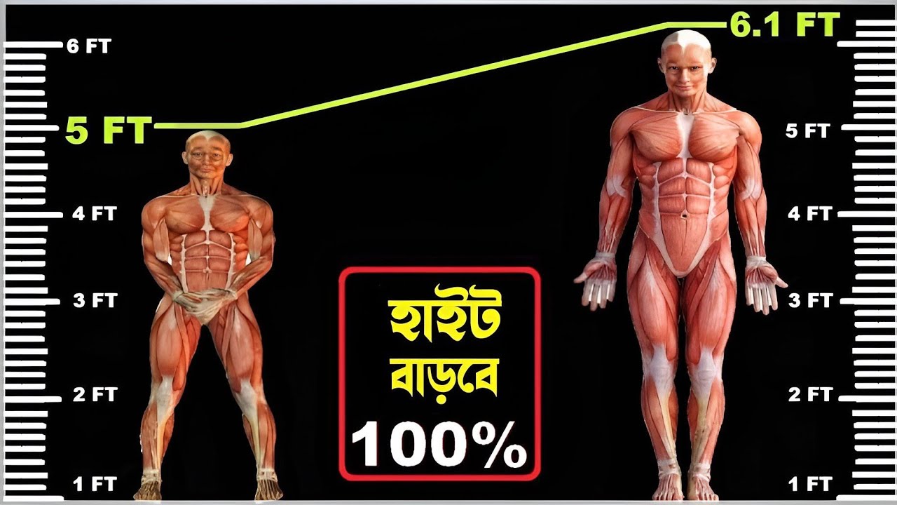 লম্বা হওয়ার সহজ উপায় | how to increase height fast