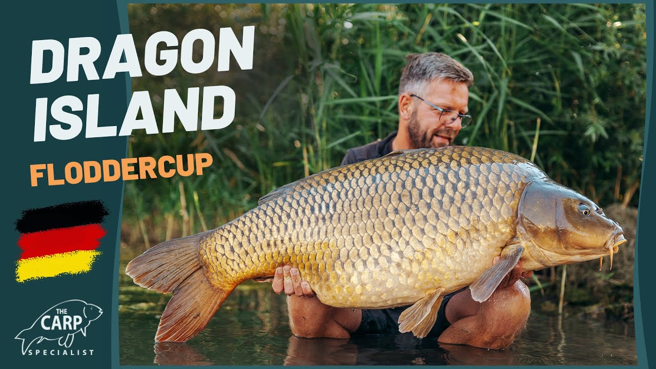 Karpfenangeln im Sommer am Dragon Island - Flodder Cup 2022 in Nordfrankreich 🎣