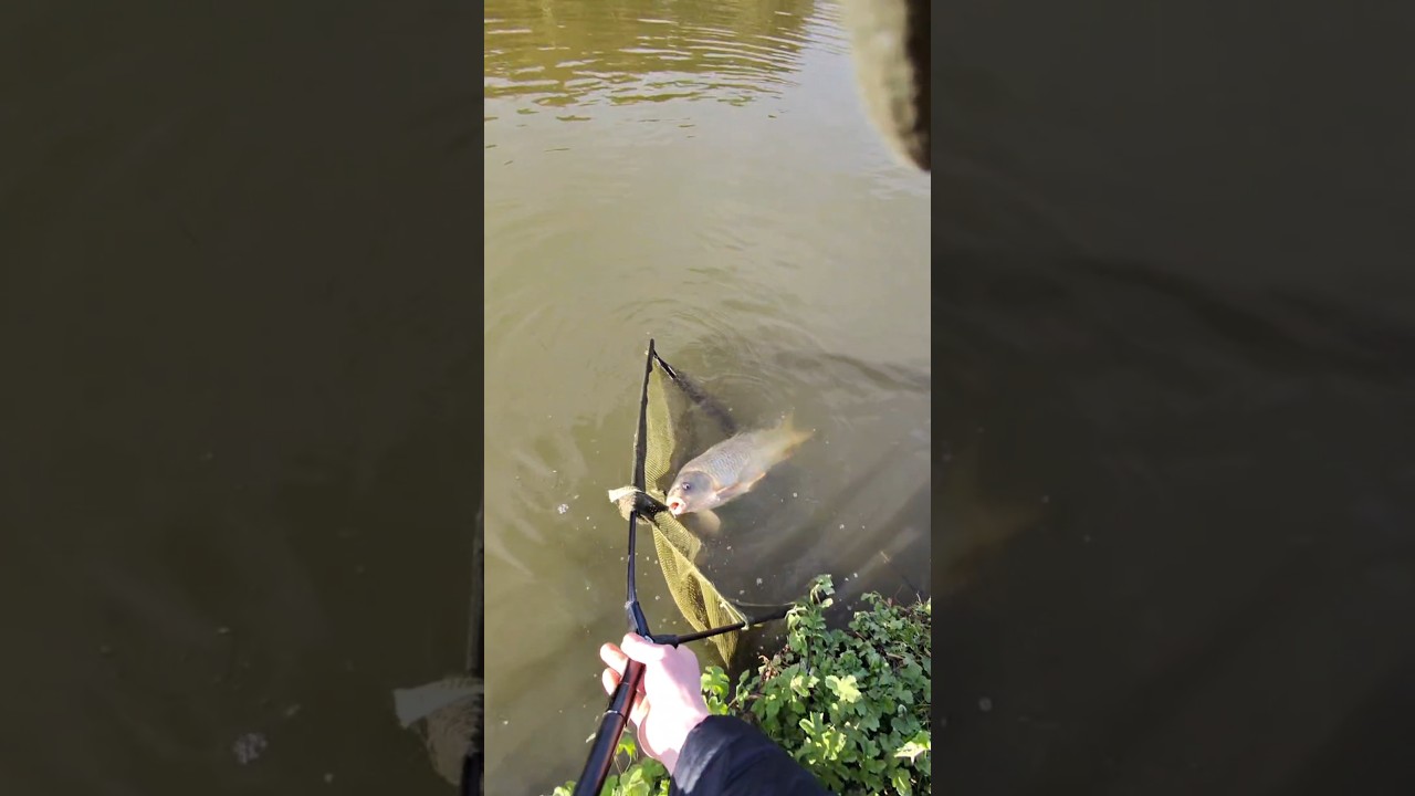 КАКОЙ КОШМАР! 🤣🎣 Что только не увидишь на берегу 🤣 #рыбалканеудачно #неудача #метаочки #металучев...