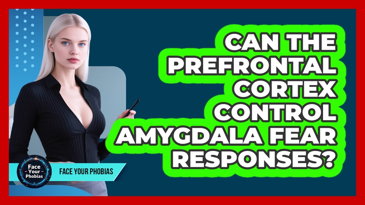 Can The Prefrontal Cortex Control Amygdala Fear Responses? - Face Your Phobias