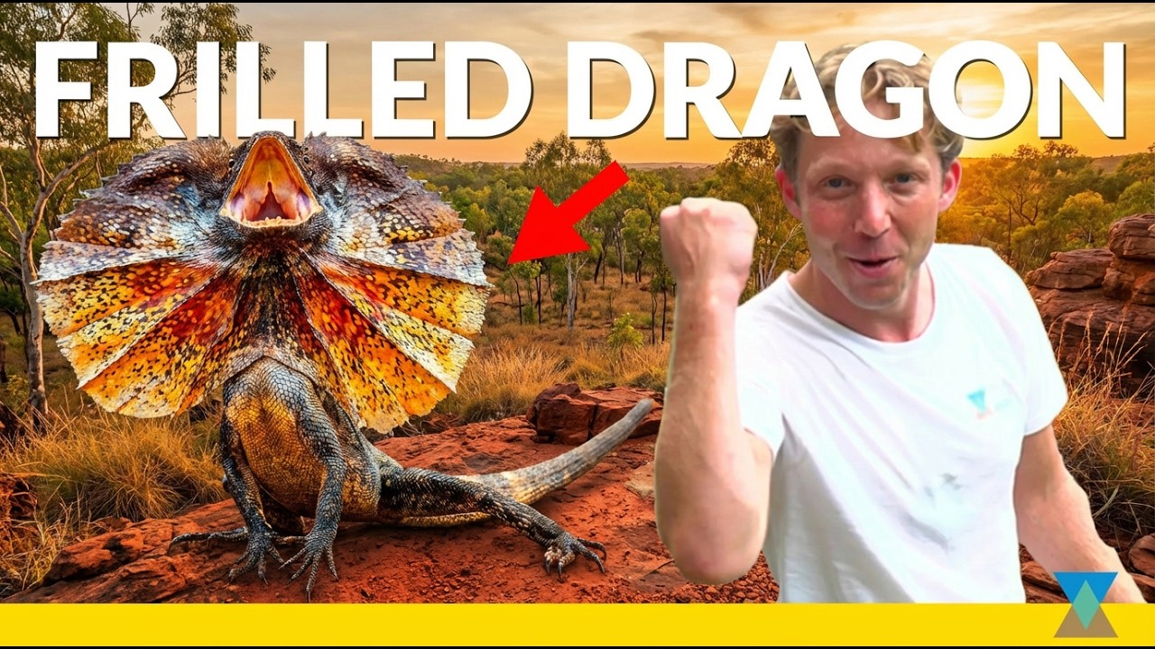 Meet This Real-Life Jurassic Park Dragon!