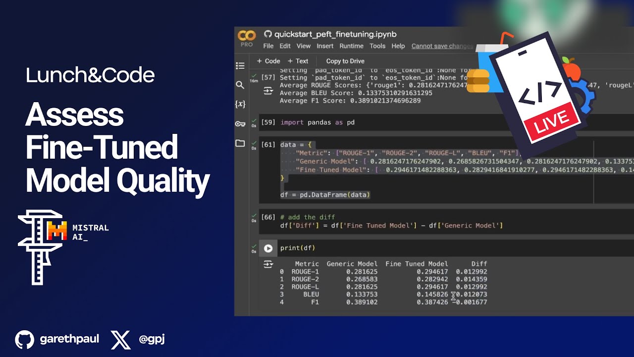 Lunch&Code: Assess Fine-Tuned Model Quality