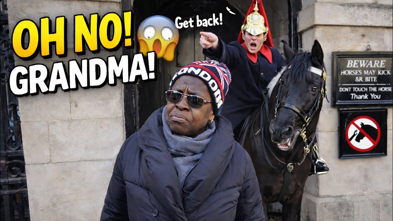 She THOUGHT It Was a Photo Spot… The King’s Guard DIDN’T 😳