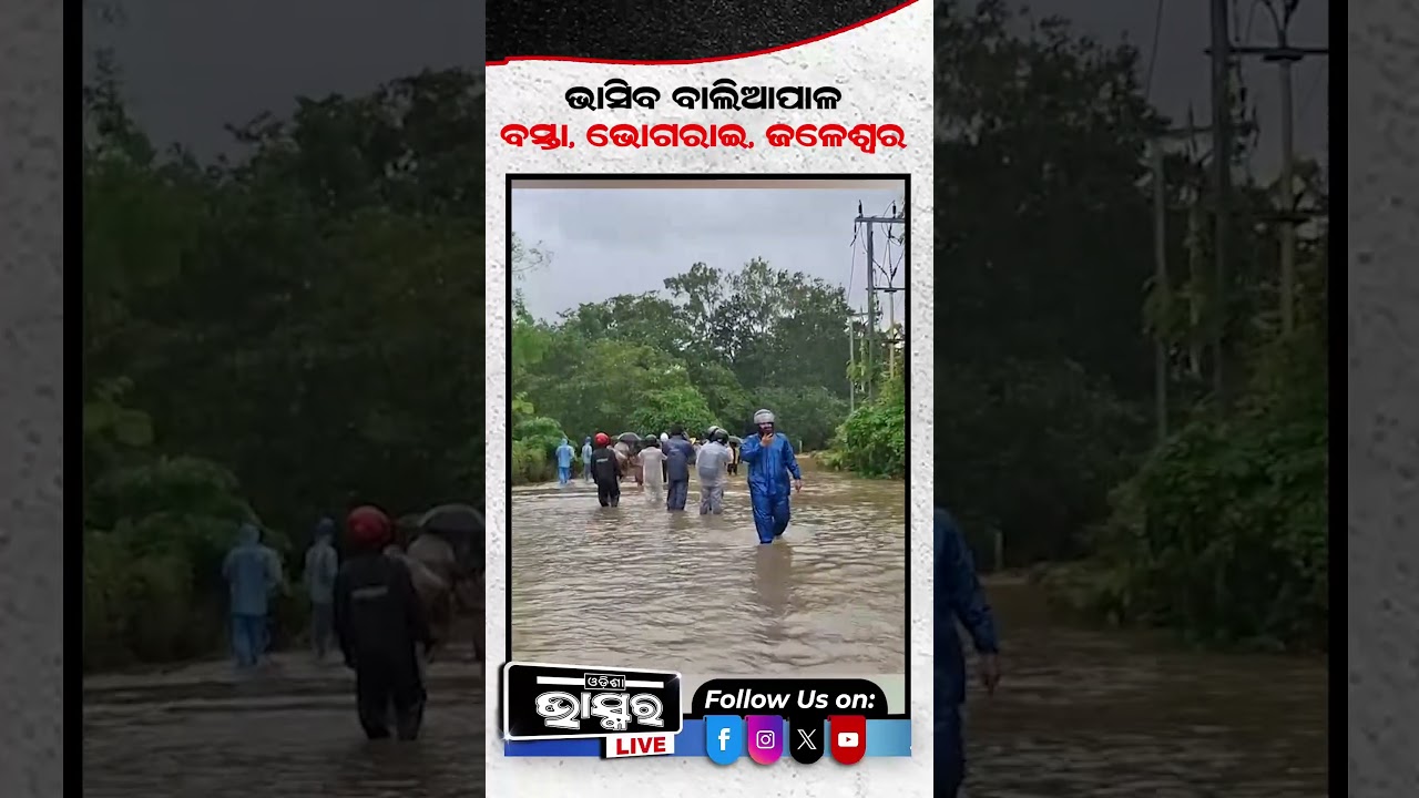 ବନ୍ୟାରେ ଭାସିଲା ବାଲିଆପାଳ #flood #baliapal #shortsvideo