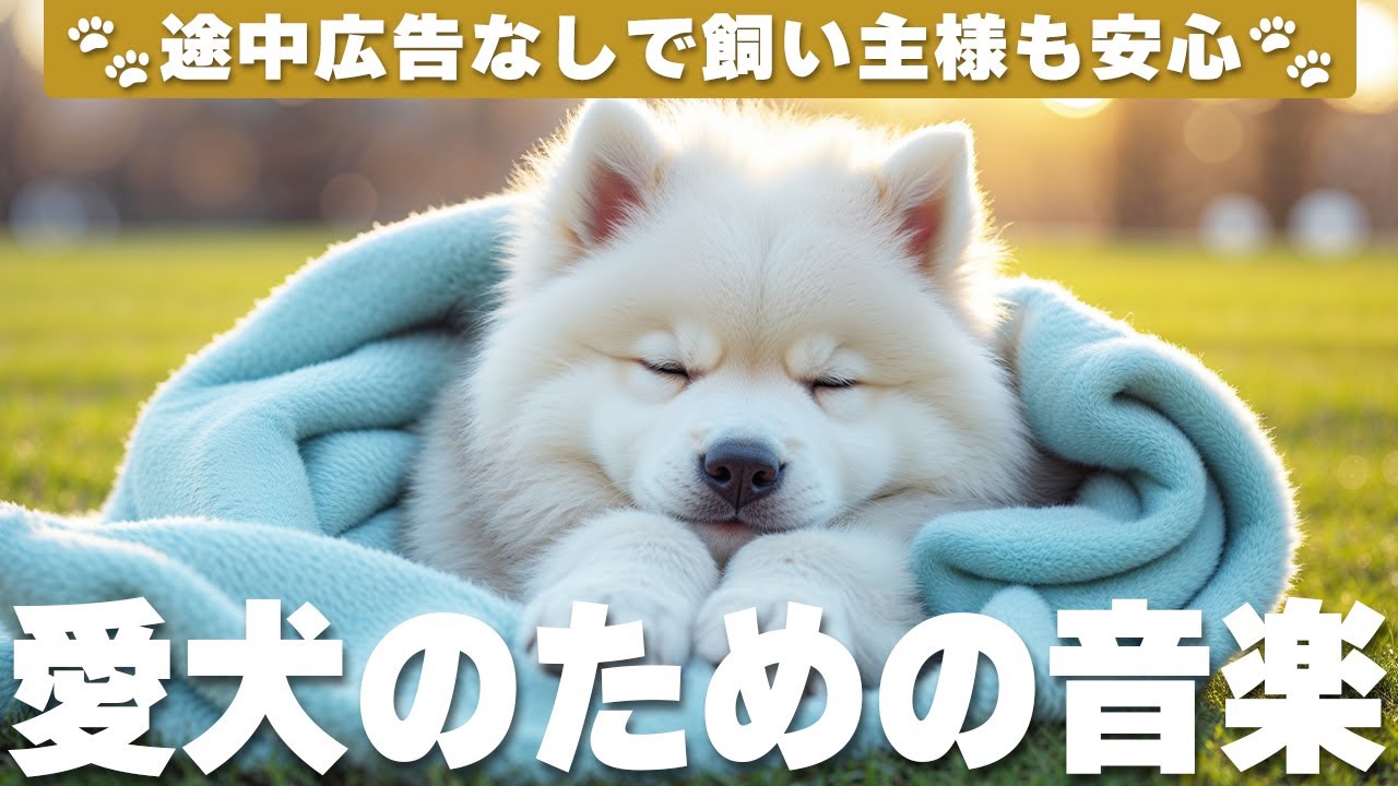 犬が落ち着く音楽 (12時間広告なし) 🐶 犬が好きな音楽 | 雷対策 / vol.733