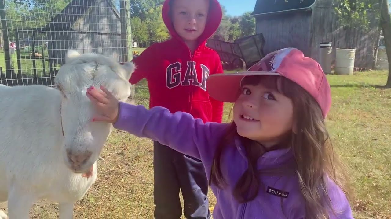 2024 Goats on the Farm and Picking Pumpkins - Farm Chores