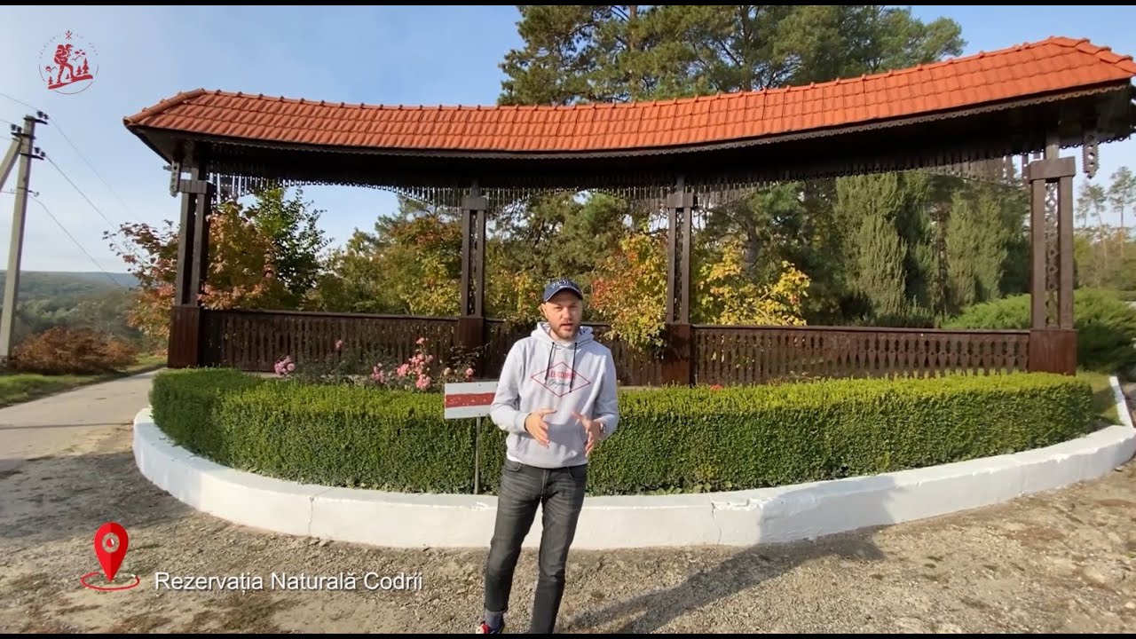 Călătoriile cu Gust te invită să explorezi cea mai veche Rezervație Naturală din Moldova - CODRII