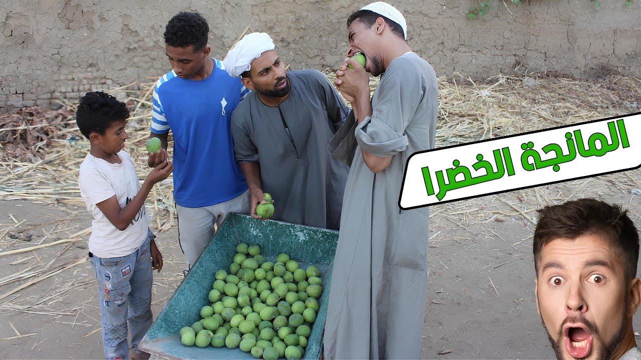 الحاج صديق باع المانجة خضرا للزباين والسبب هيجننك  😅🫡