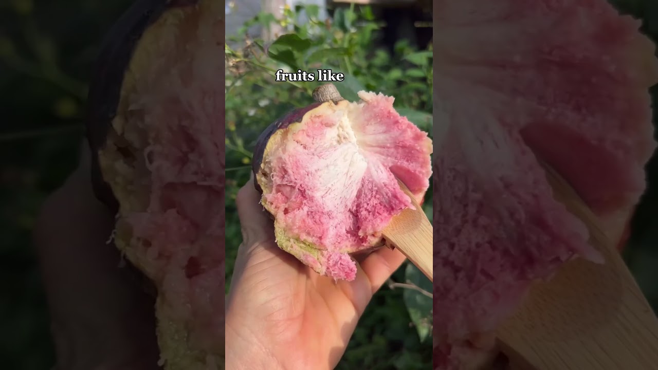 Red Custard Apple #fruit