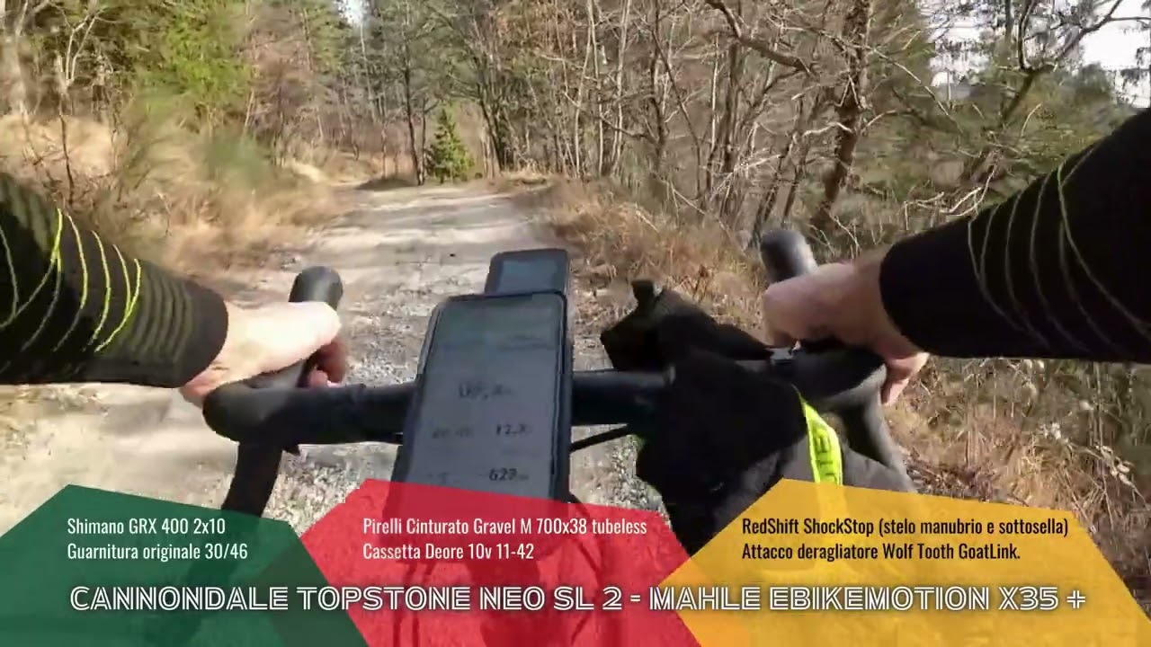 Cannondale Topstone Neo SL 2