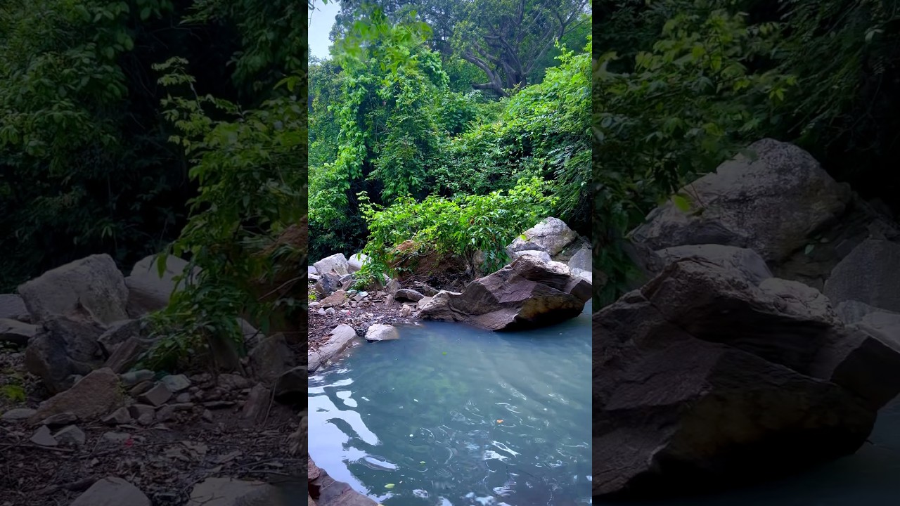 Gambharidihi Waterfall 🏞️⛰️  Sundargarh shorts#shortfeed#shortsvira