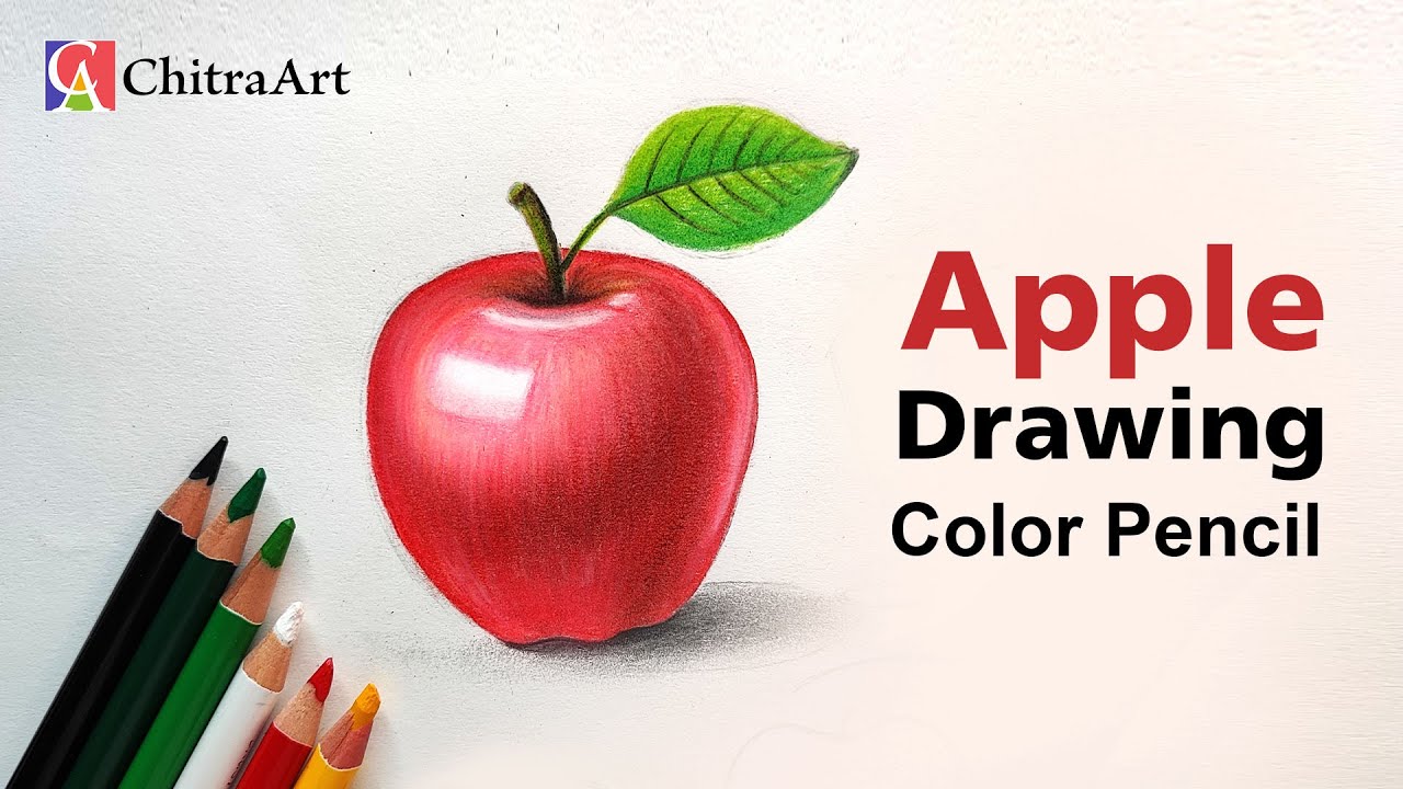Easy Apple Drawing with Color Pencil Step By Step | Fruit Drawing
