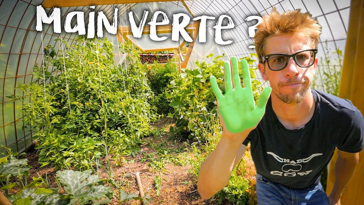 ALTITUDE 1050M ET LEGUMES D'ETE  - Passion Rénovation Ep66 - jardin diy timelapse