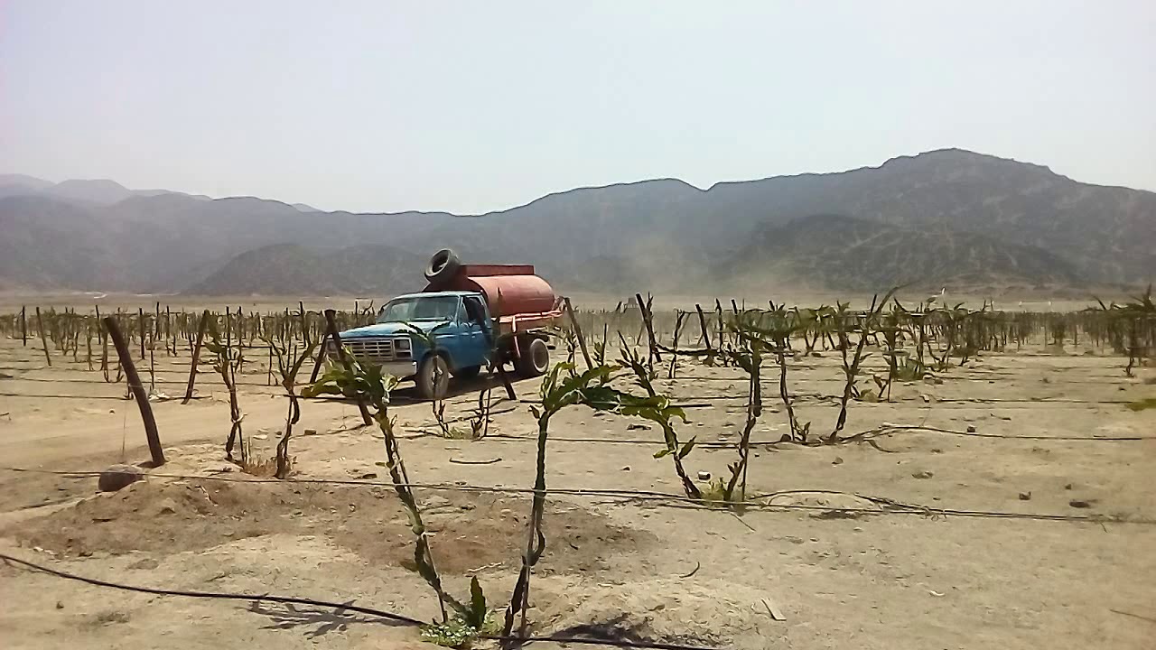 REMATE DE TERRENO AGRÍCOLA EN EXPANSIÓN URBANA 415 Has. FUNDO “HUERTO MARGARETH” HUARAL – HUARAL.